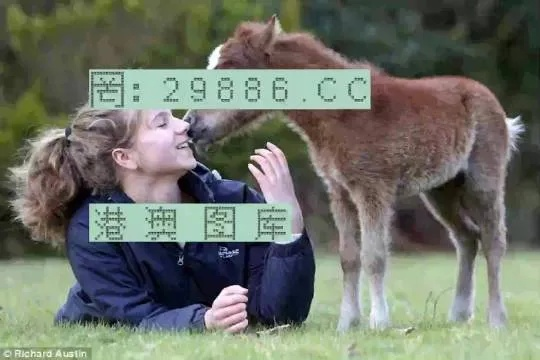 精准澳门免费平特一肖|探索生活中的小确幸_先锋版Meituan.2.139